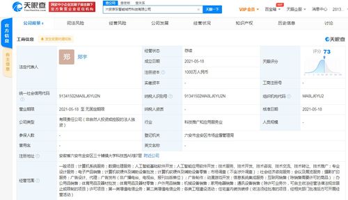 京東云計算拓展智能城市版圖，新設科技公司布局動漫游戲開發與系統集成